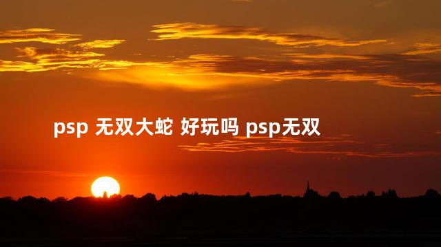 psp 无双大蛇 好玩吗 psp无双大蛇魔王再临秘籍